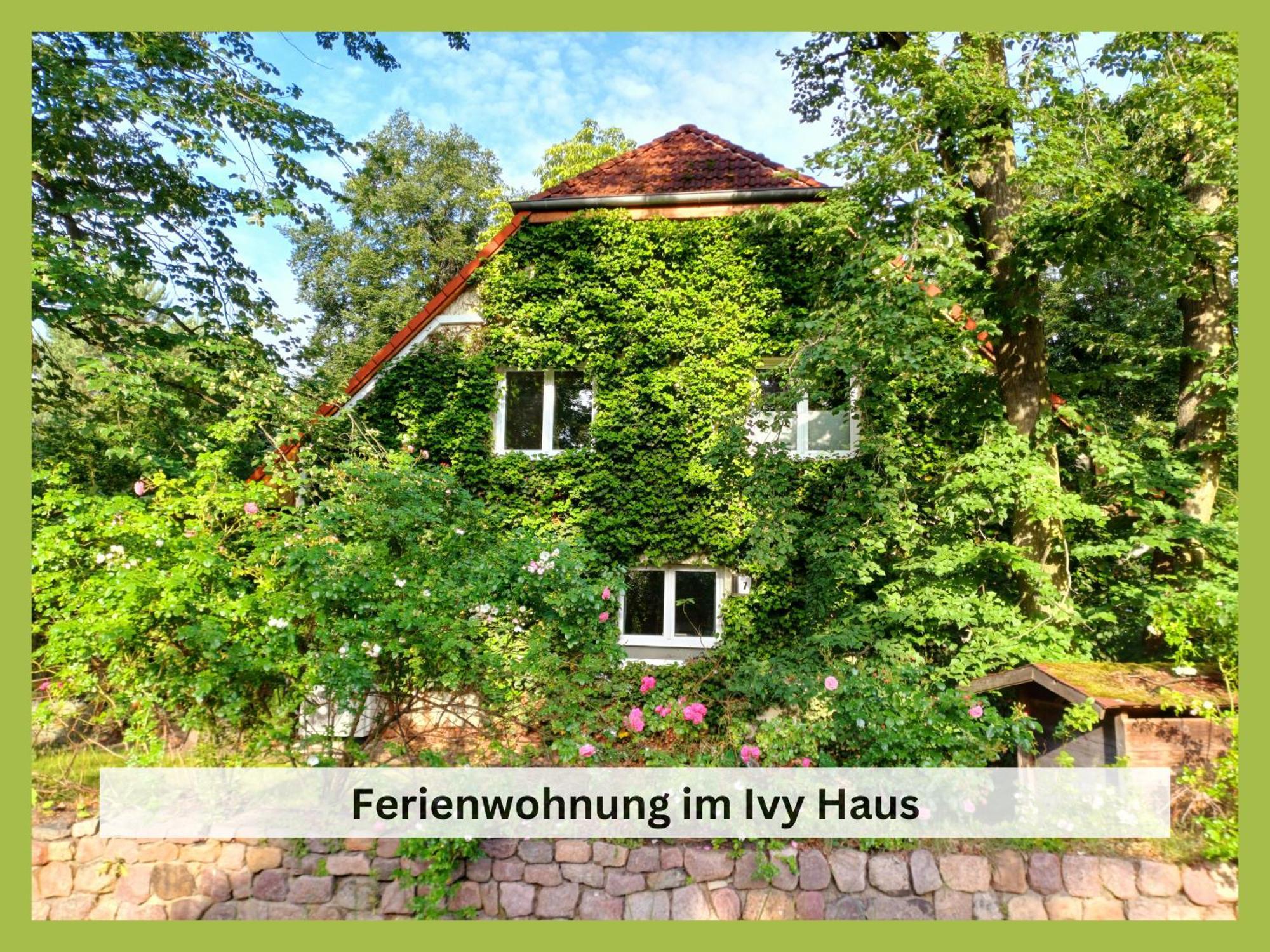 Апартаменты Ivy Haus Фалькензе Экстерьер фото